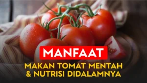 manfaat-makan-tomat-mentah